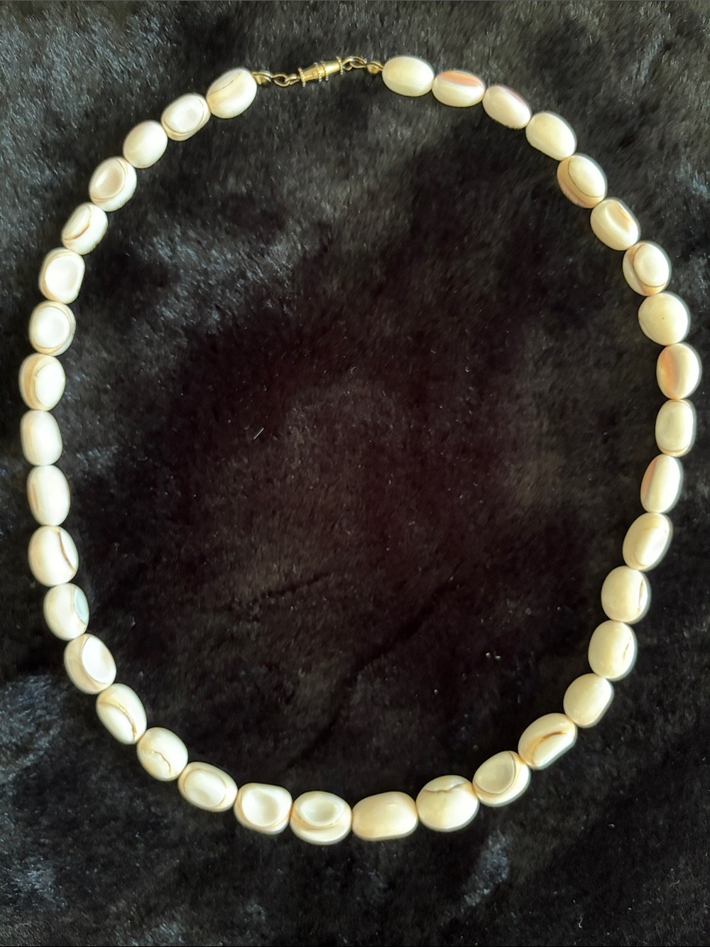 Classic White Shell Bead Necklace - Women's Jewelry